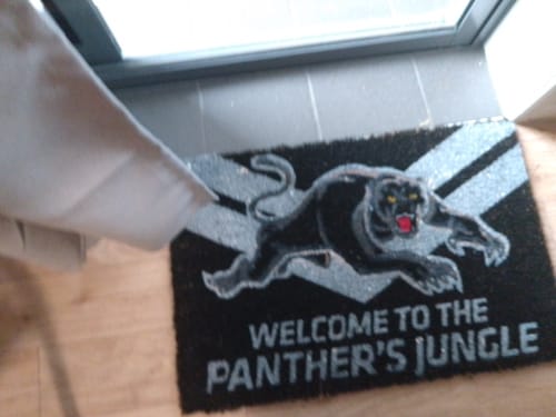 Customer photo review of Panthers Scoreboard Clock
