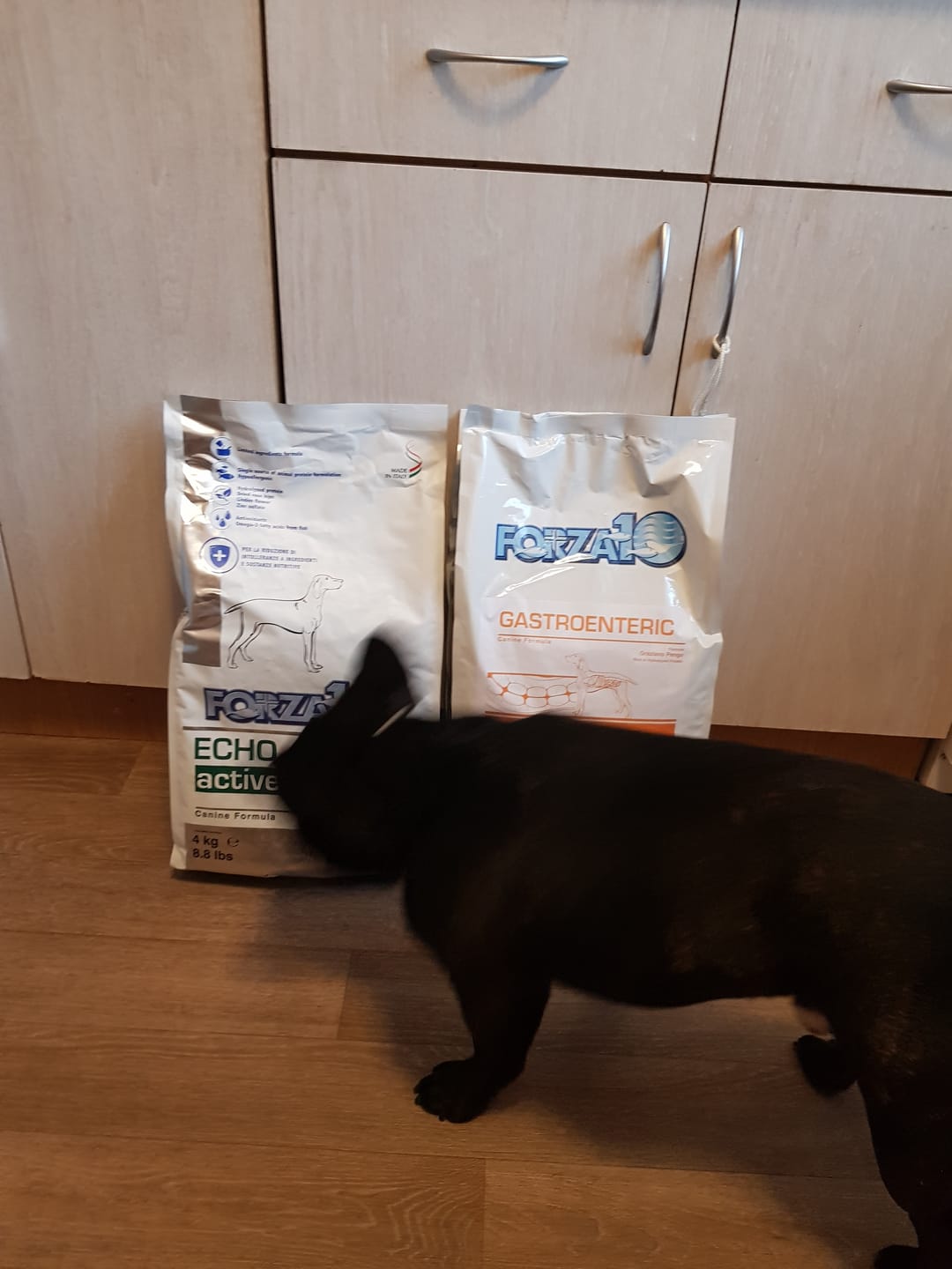 Customer photo review of VetDiet Echo (Oto) suņiem