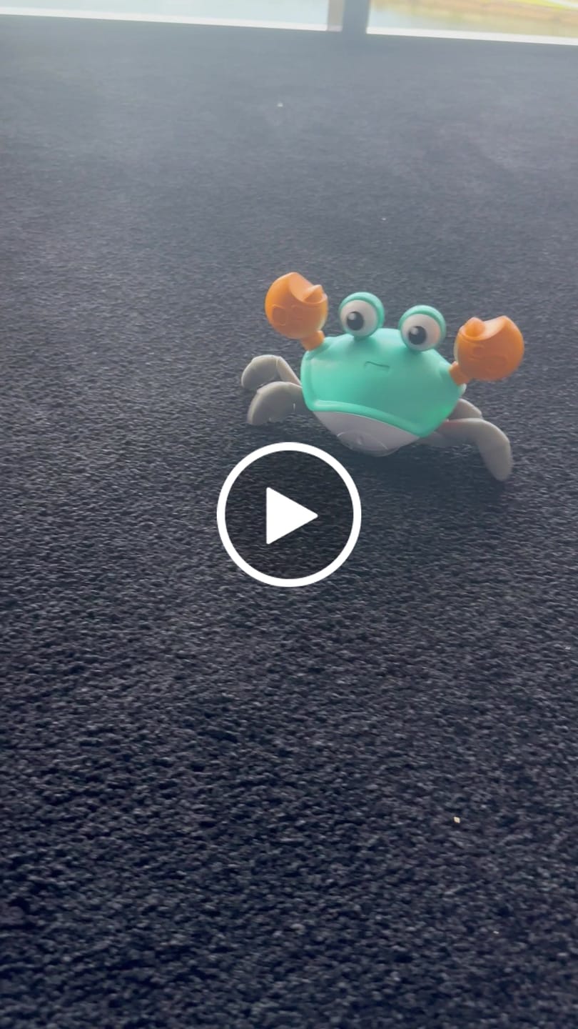 Customer video review of The Crawly Crab™