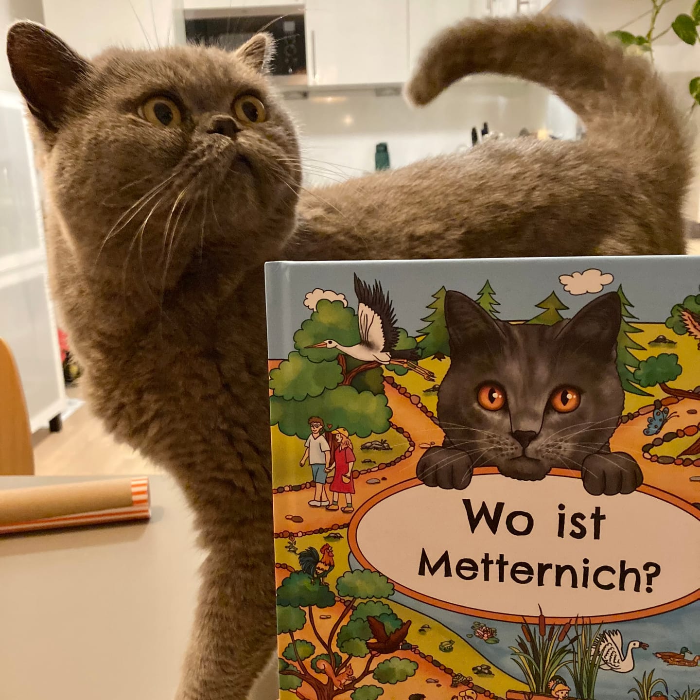 Customer photo review of Wo bist du? - Personalisiertes Katzen-Wimmelbuch