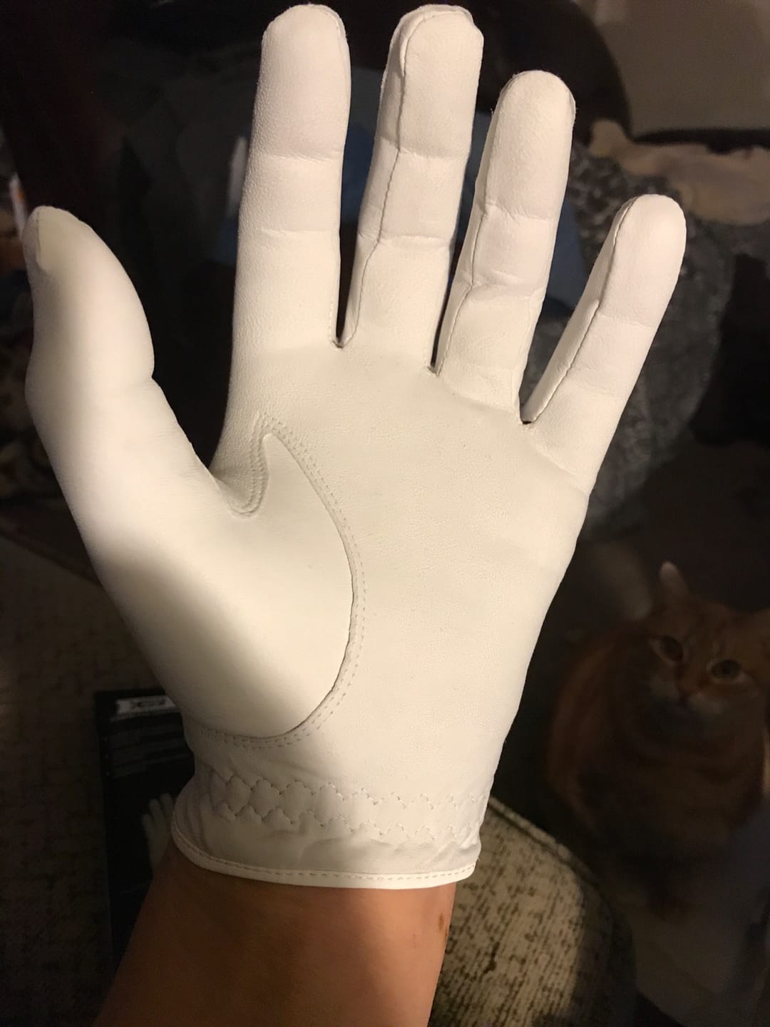 Customer photo review of XEIRPRO Men's Golf Gloves (4-Pack, AA Cabretta Leather)
