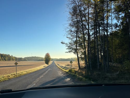 Customer photo review of Avlägsna Bomullsbollar (100 st)