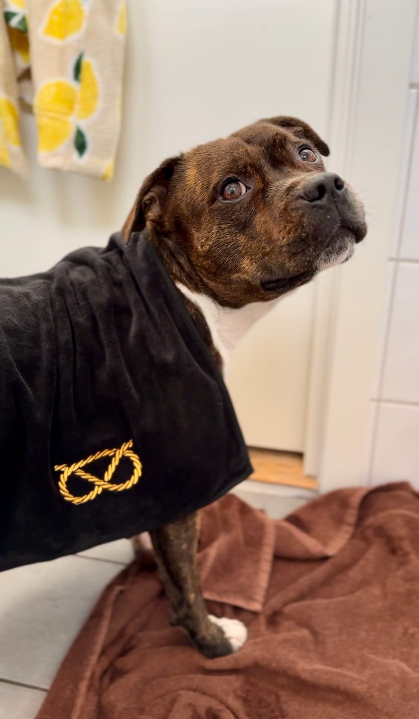 Customer photo review of Staffordshire Bull Terrier 1935® Towel - Black