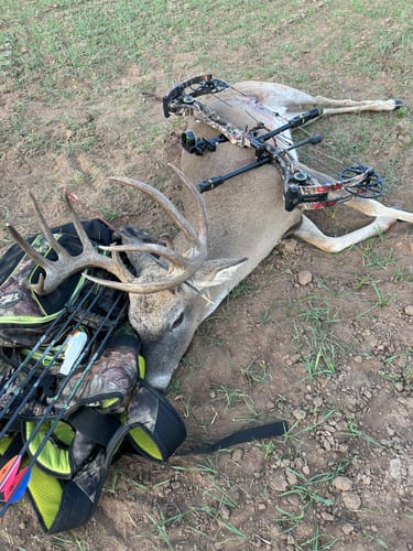 Customer photo review of Beast Broadheads (2-Pack + Practice Tip)