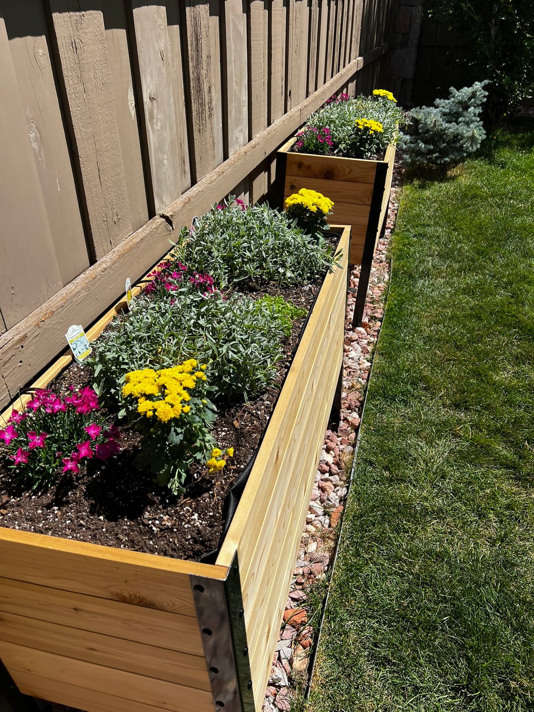 Customer photo review of Raised Garden Bed - 46cm x 122cm x 76cm