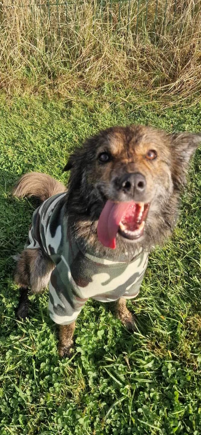 Customer photo review of Camo Anti Pill Polar Fleece Fabric