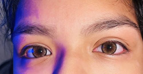 Customer photo review of Vivid Hazel