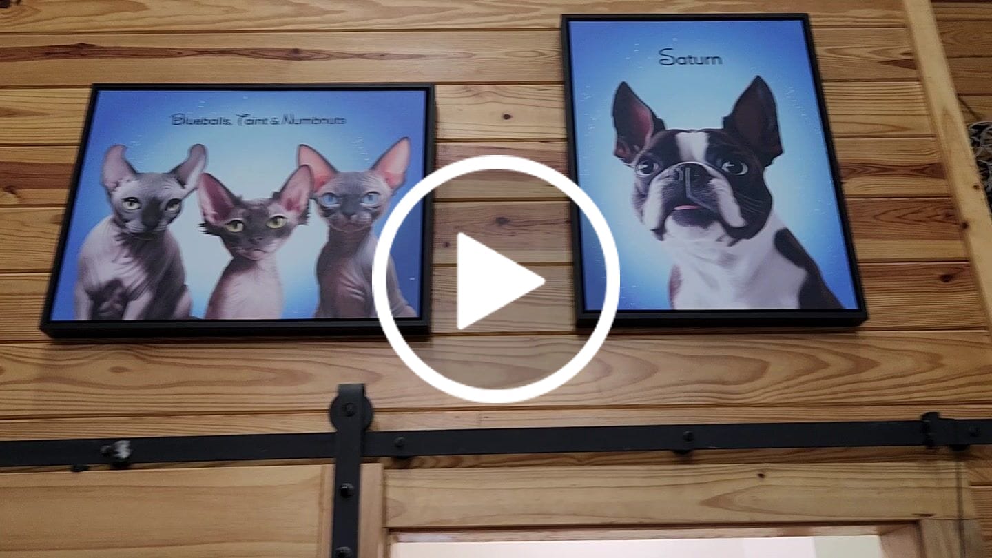Customer video review of Cartoon 3 Pet Portrait