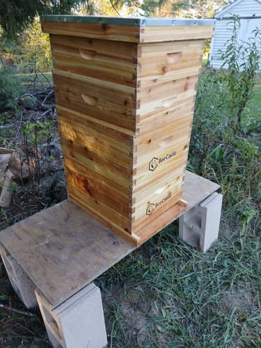 Customer photo review of BeeCastle Hives 10 Frame 4 Layer Complete Cedar Wood Beehive Kit:Designed with 2 Deep Beehive Boxes and 2 Super Bee Boxes,with Premium Wooden Frames and Beeswax Plastic Foundation
