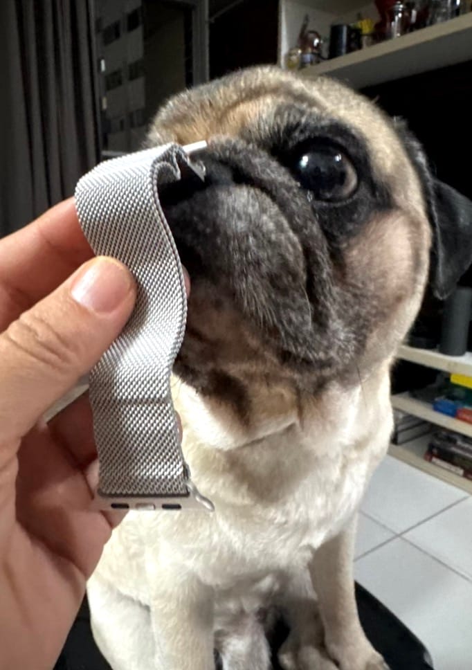 Customer photo review of NEU Apple Watch Metallarmband "Lassana"
