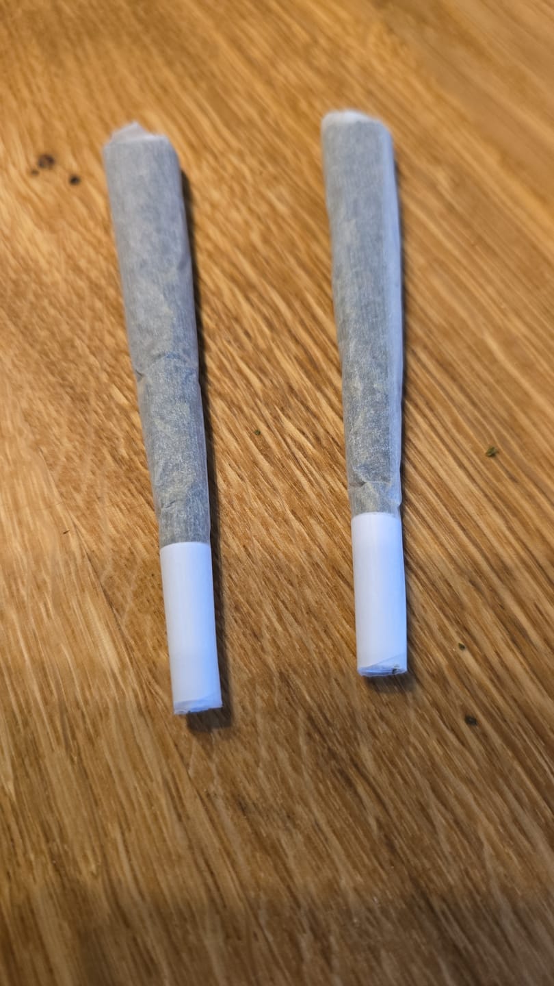 Customer photo review of 🍪 Cookies Prerolls - POWER LVL: 4/5