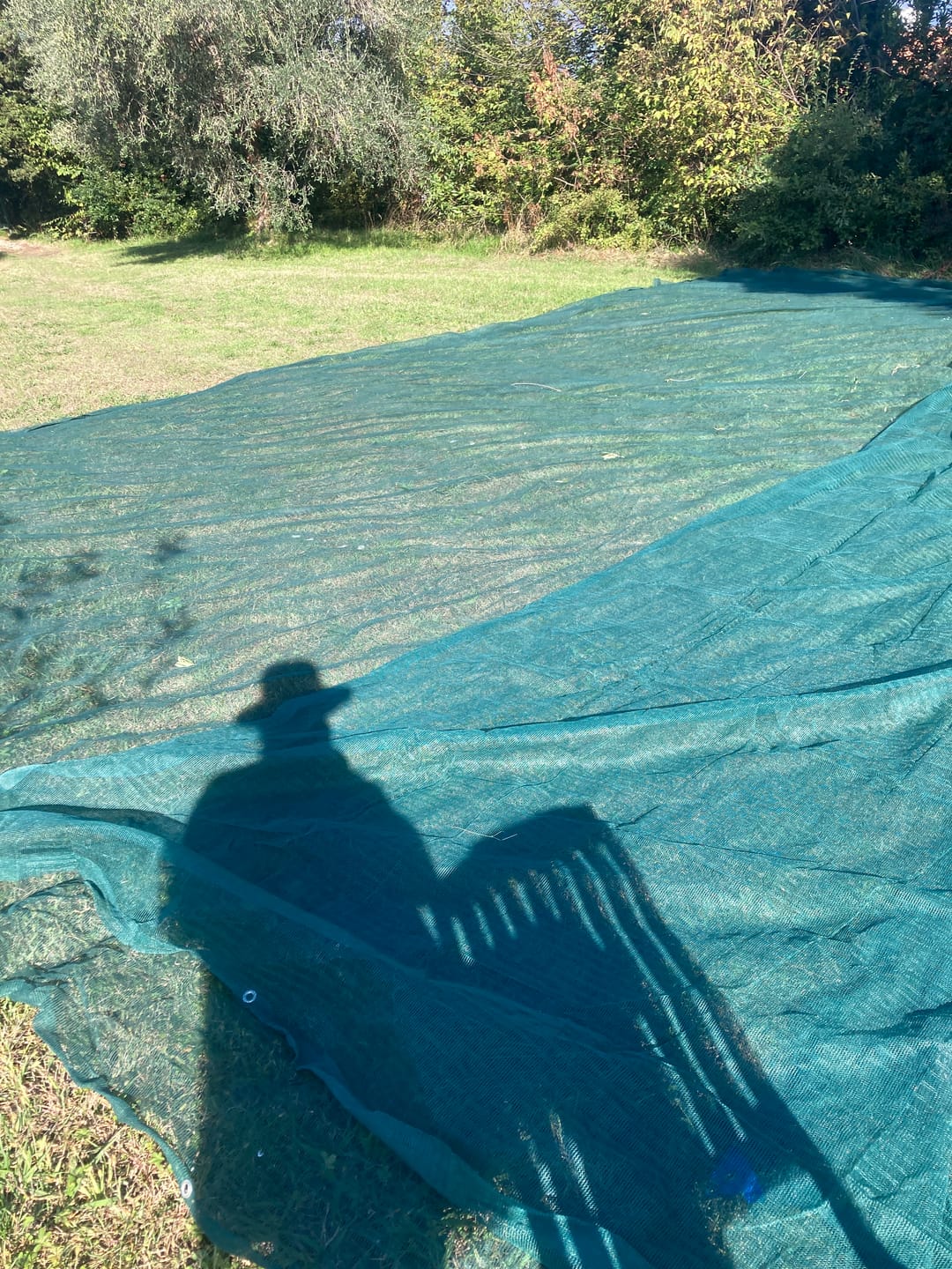 Customer photo review of Rete antispina olive occhiellata