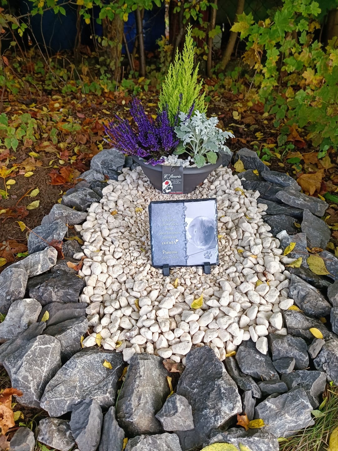 Customer photo review of Toujours dans mon cœur - Plaque d'ardoise personnalisée