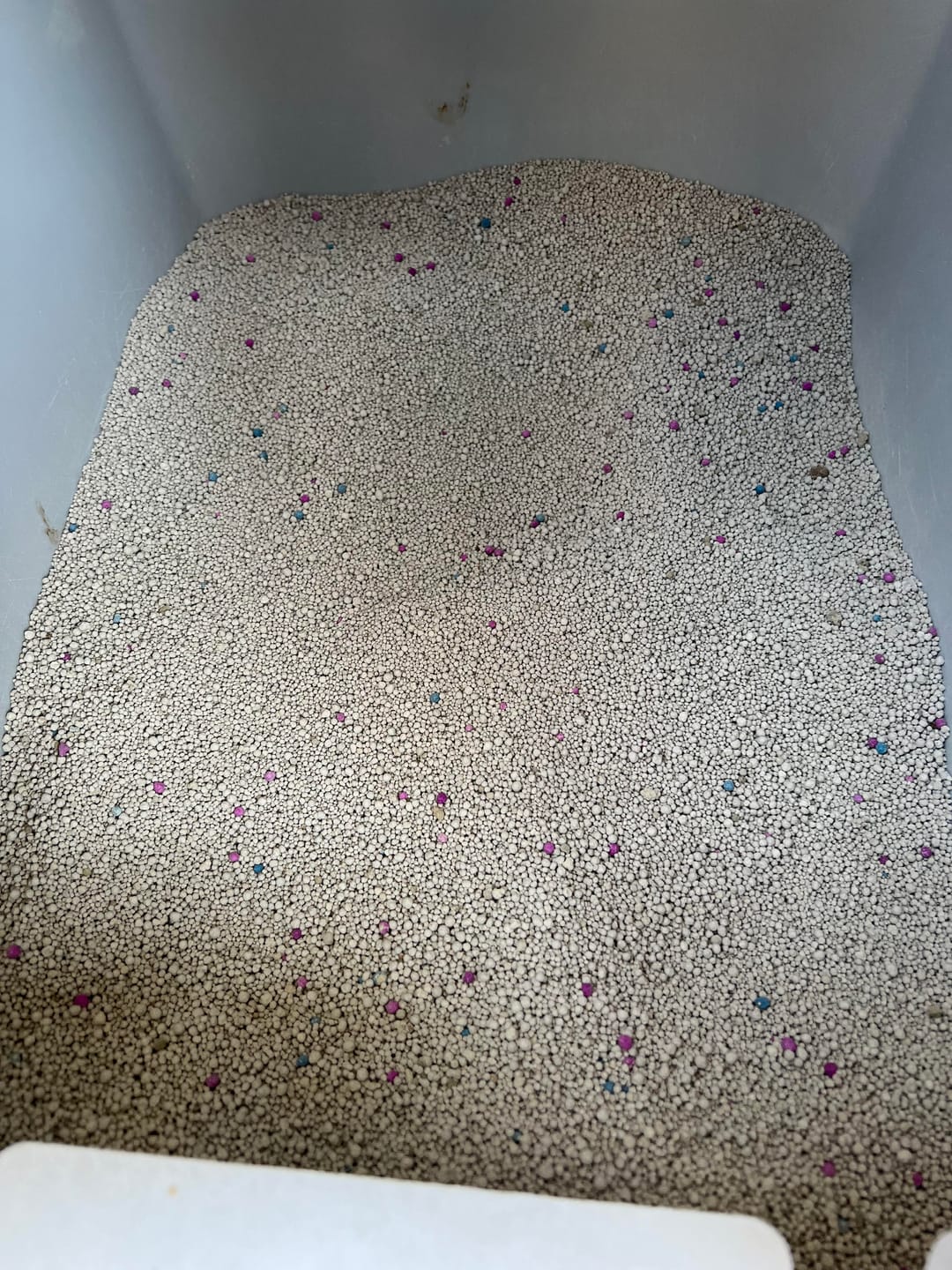 Customer photo review of Arena Minino Aglutinante 20kg