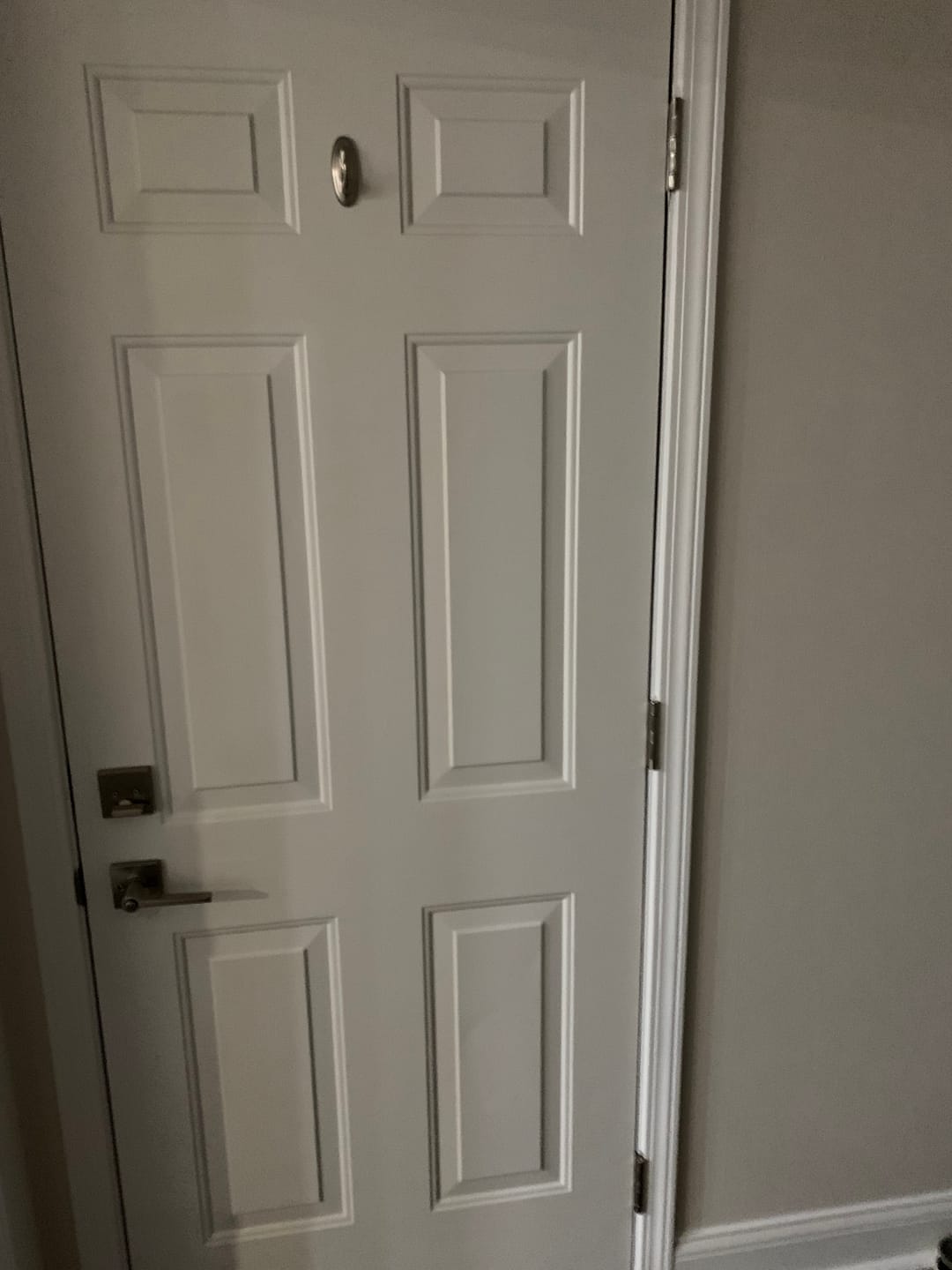 Customer photo review of Exterior Door Hinge Set (3 pieces)