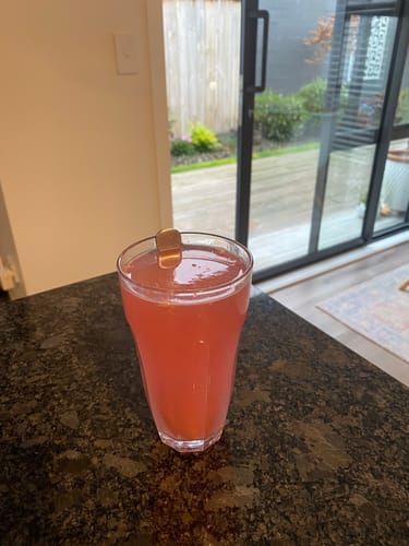 Customer photo review of Pre + Probiotic Bundle