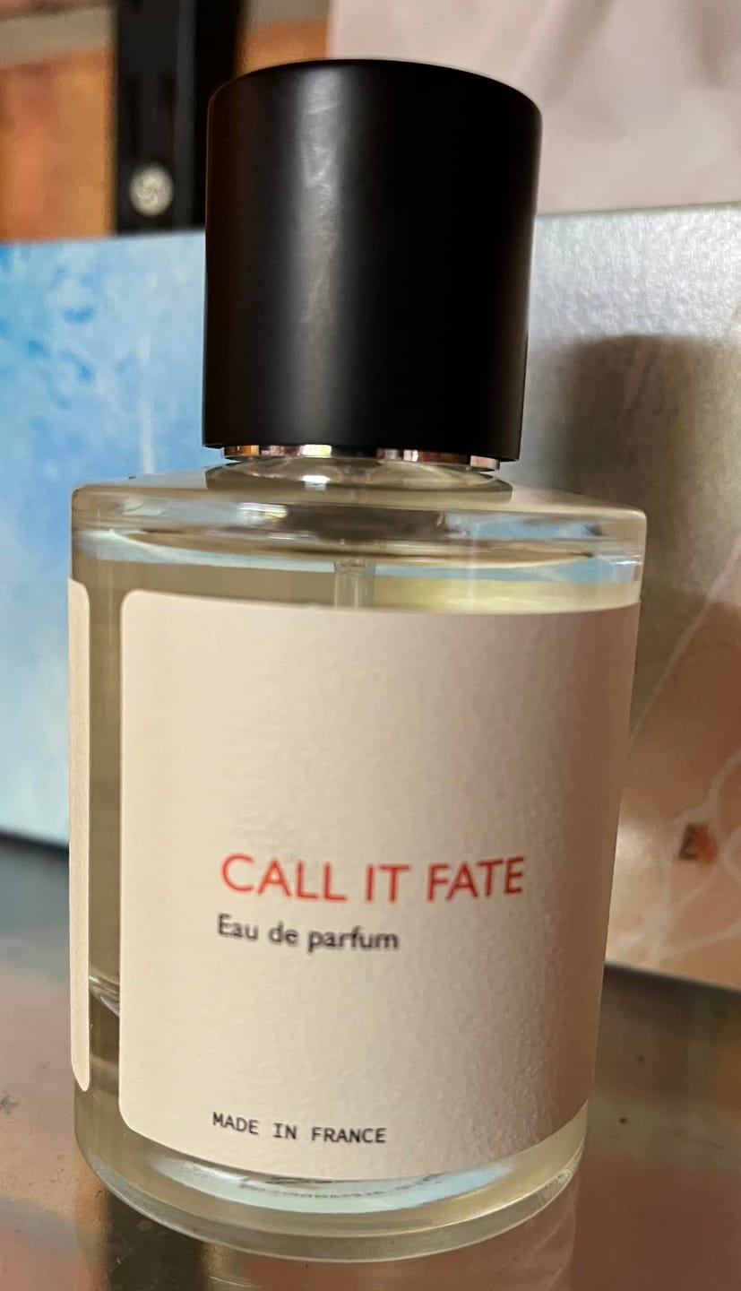 Customer photo review of Call it Fate