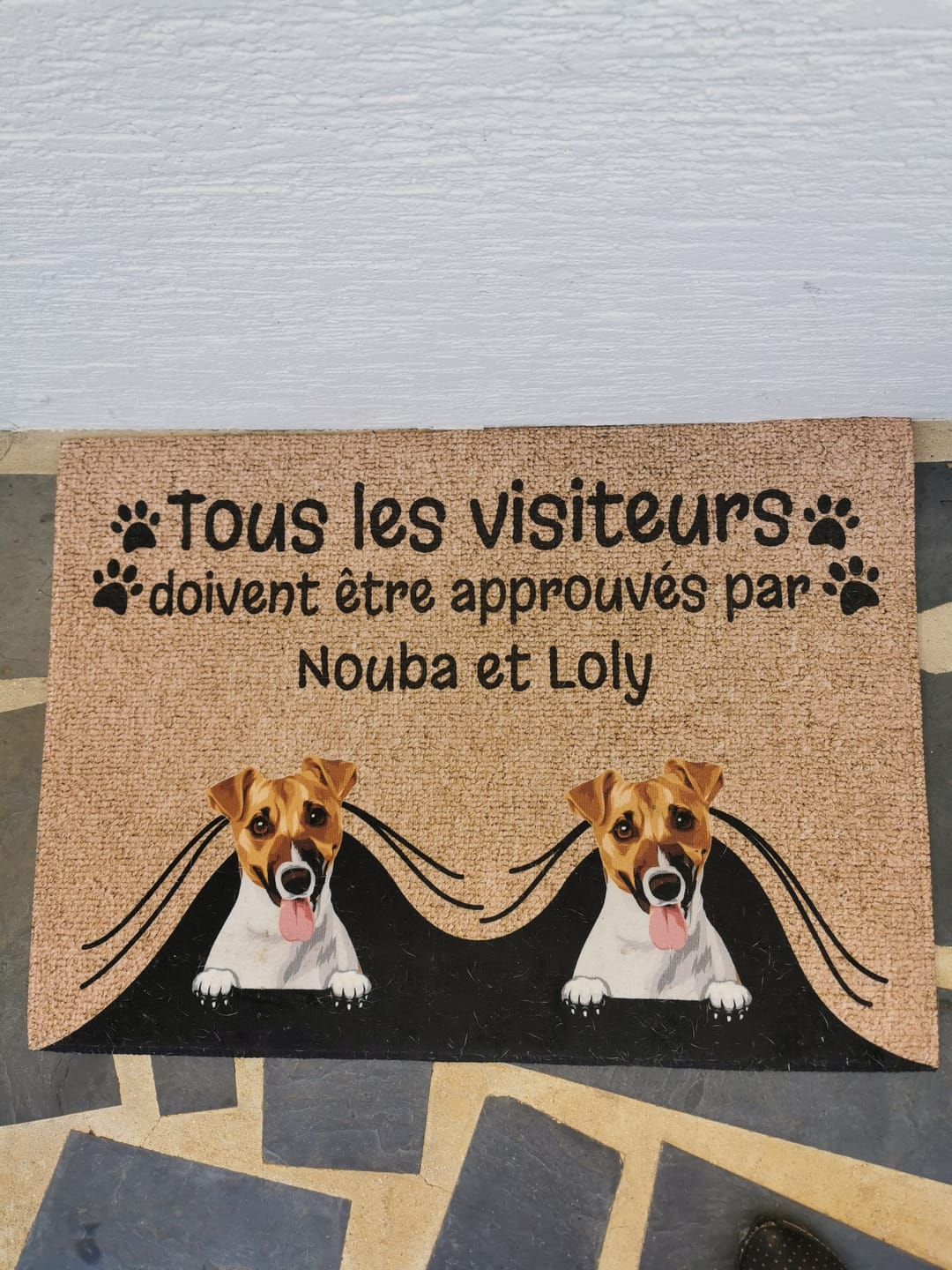 Customer photo review of Visiteur approuvé - Paillasson personnalisé