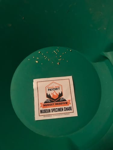 Customer photo review of Nugget Reserve 'MUSEUM SPECIMEN CHASE' - Gold Panning Paydirt Concentrate