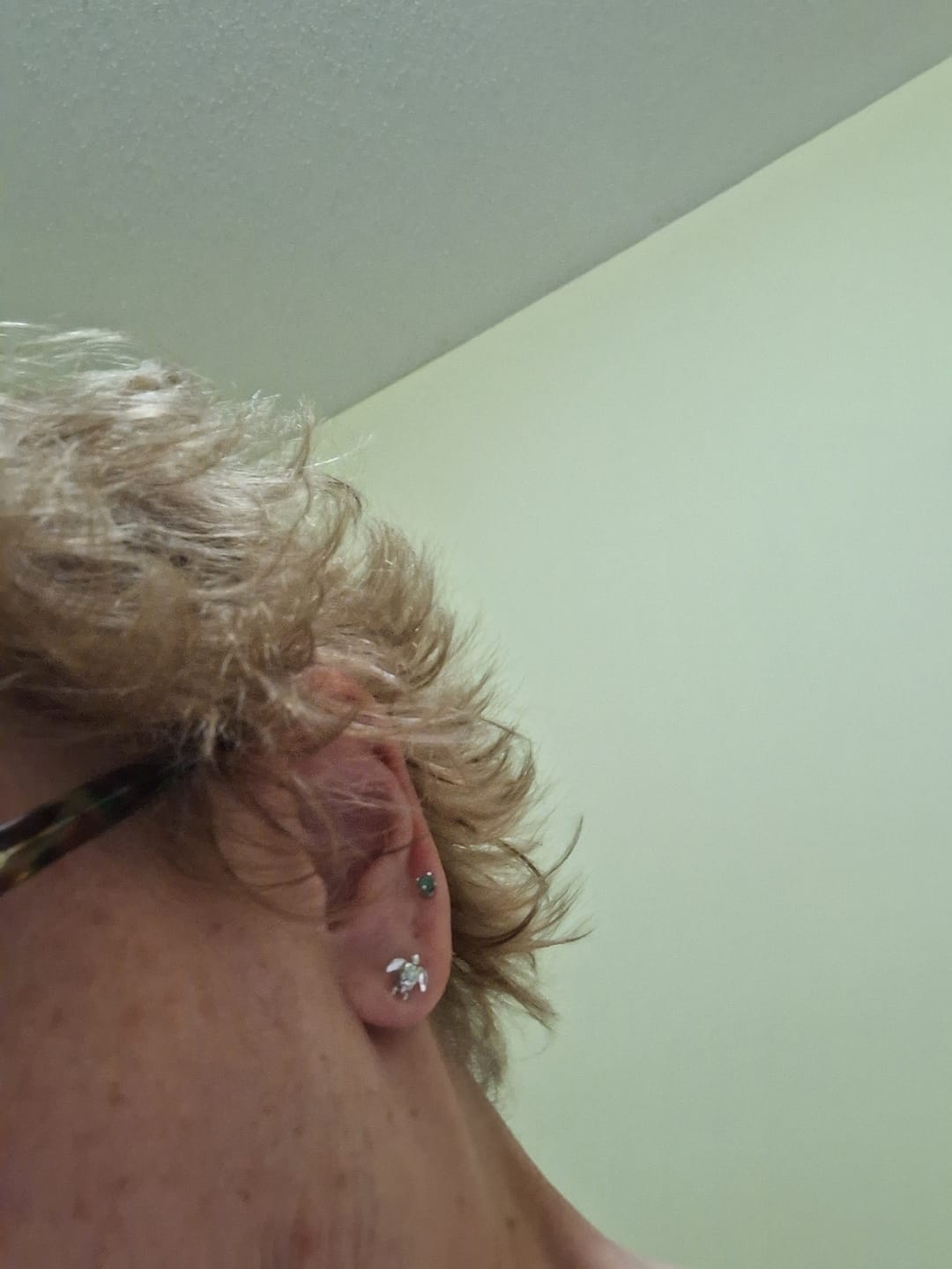 Customer photo review of Turtle Studs