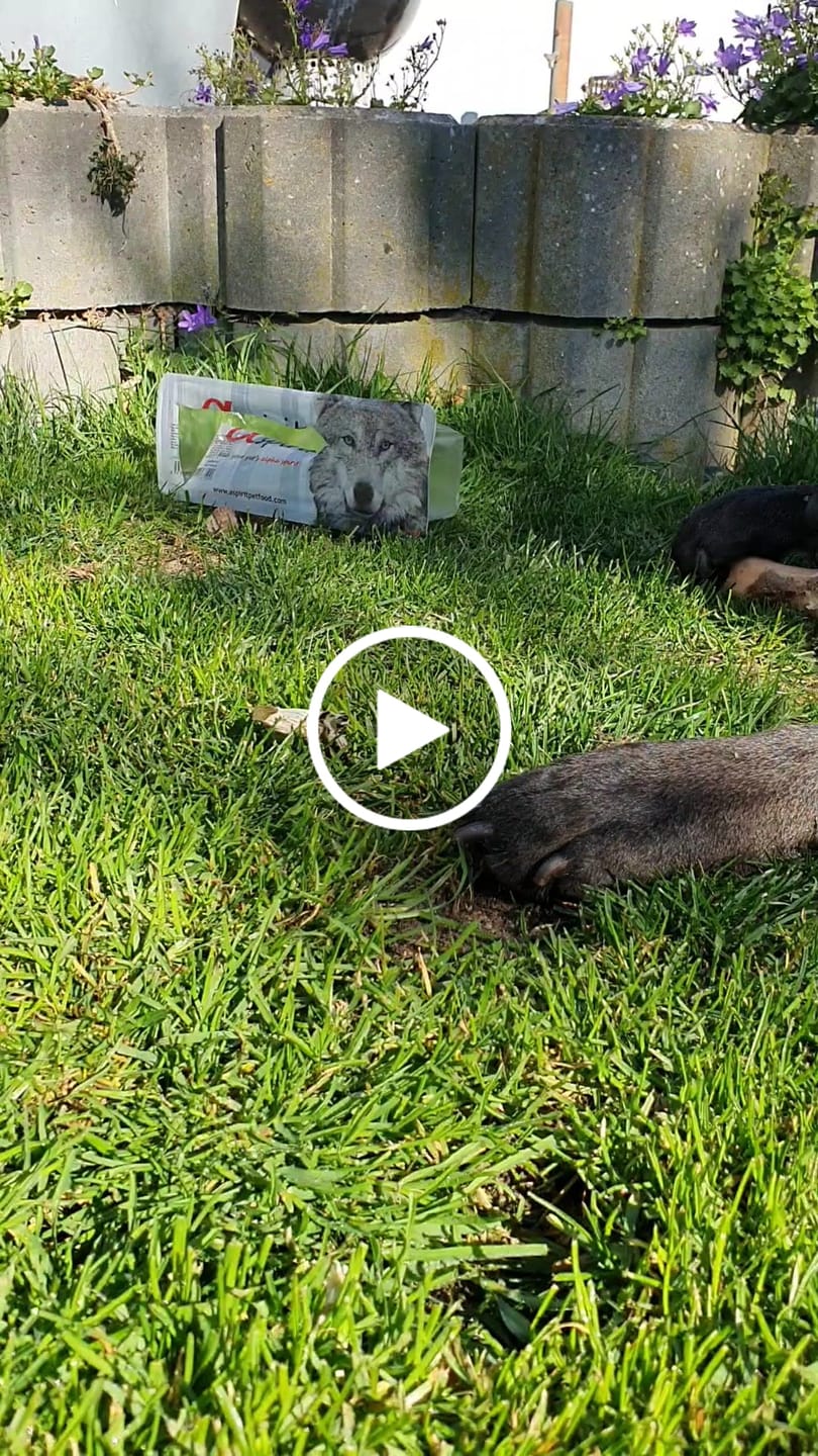 Customer video review of AlphaSpirit - Ham Bone