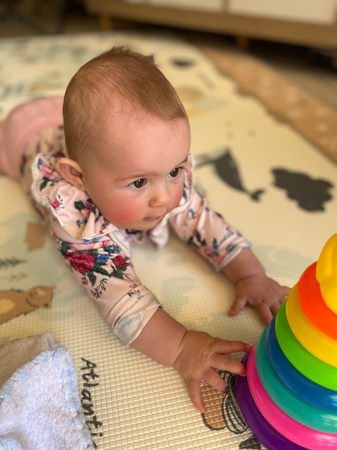 Customer photo review of PRE-ORDER: World Map/ Solid Grey Play Mat