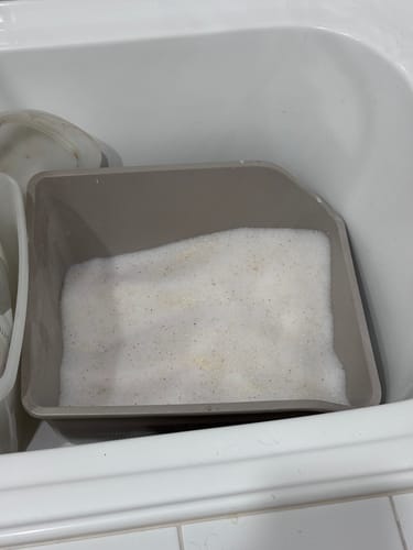 Customer photo review of 3 Month Supply - 1 Cat