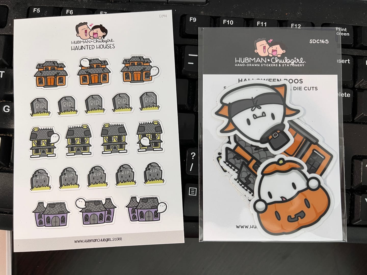 Customer photo review of Haunted Houses Planner Stickers