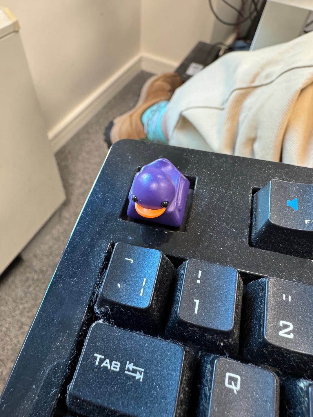 Customer photo review of Duckey Keycap