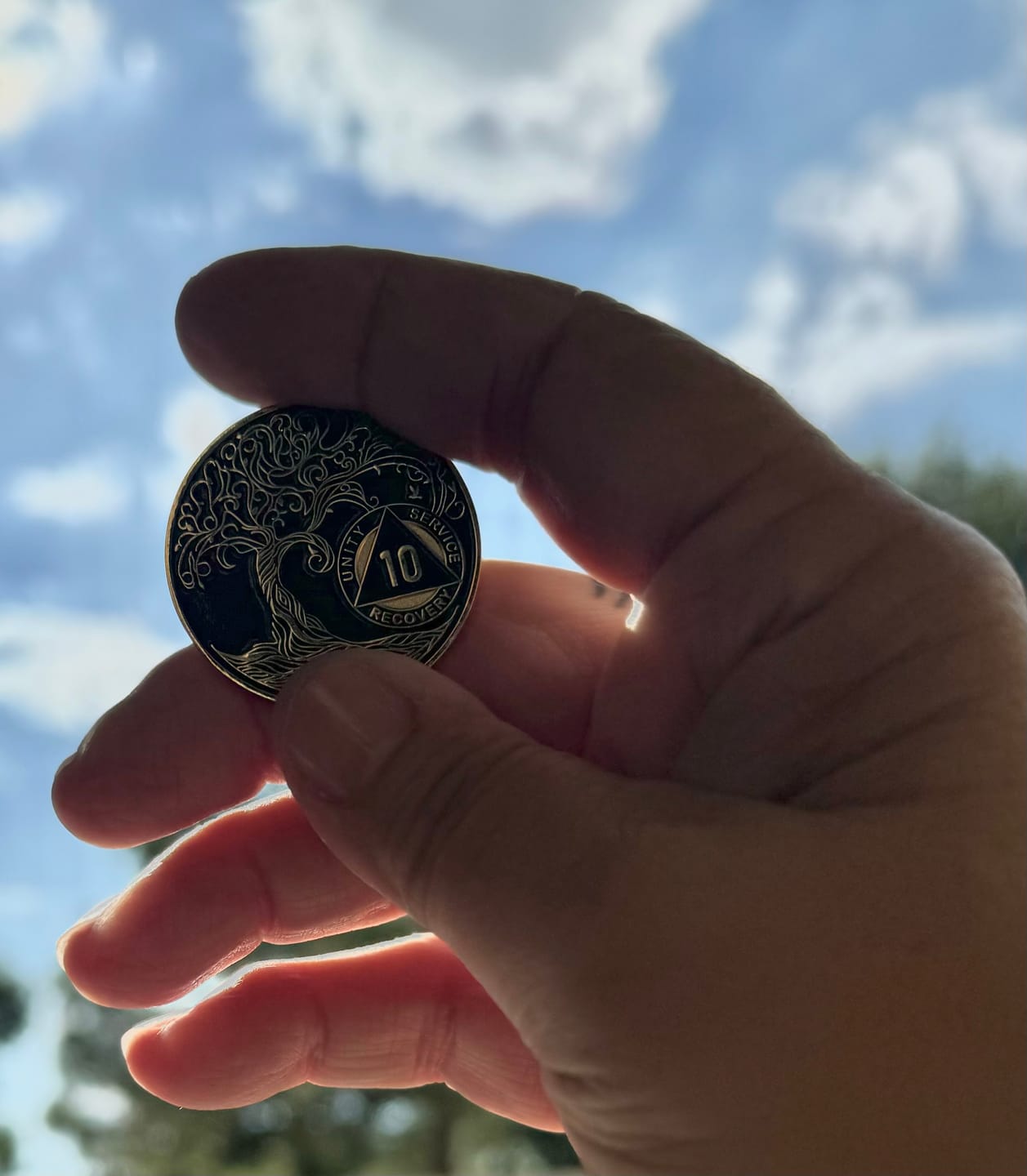 Customer photo review of 10 Year Sobriety Mint Twisted Tree of Life Gold Plated AA Recovery Medallion - Ten Year Chip/Coin - Black