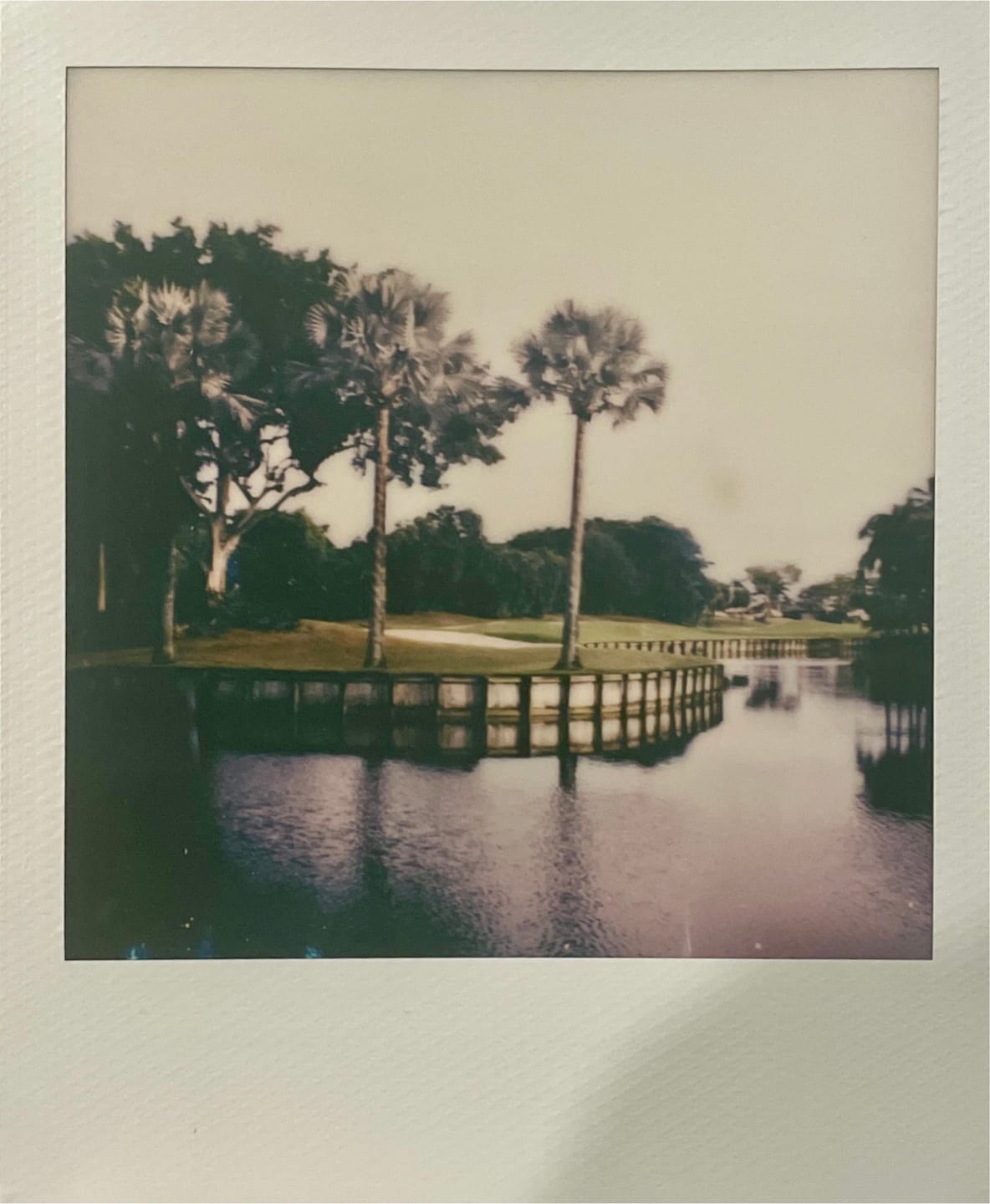 Customer photo review of Polaroid SX-70 Alpha Black With Chrome Folding Instant Film Camera
