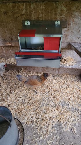 Customer photo review of Small (24") Reversible Rollout Nest Box (Up to 20 Hens)