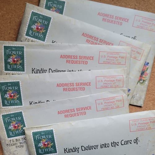 Customer photo review of The Flower Letters Story Experience