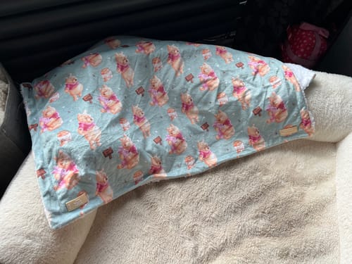 Customer photo review of Disney© Dog Blanket - Winnie The Pooh