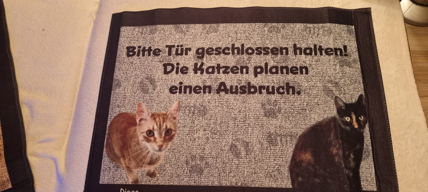 Customer photo review of Katzen planen einen Ausbruch - Individuelle Fußmatte