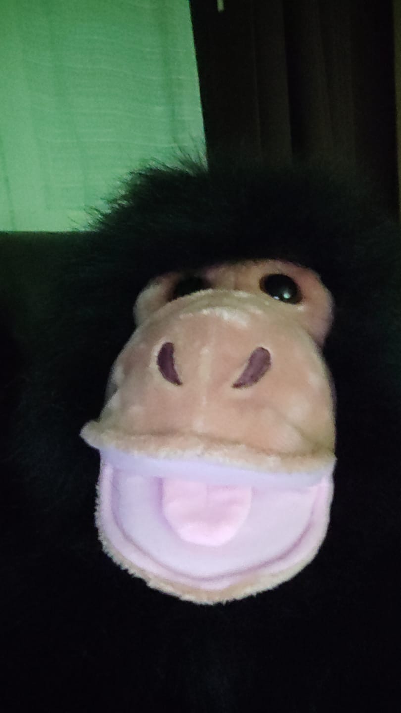 Customer photo review of Singe Marionnette