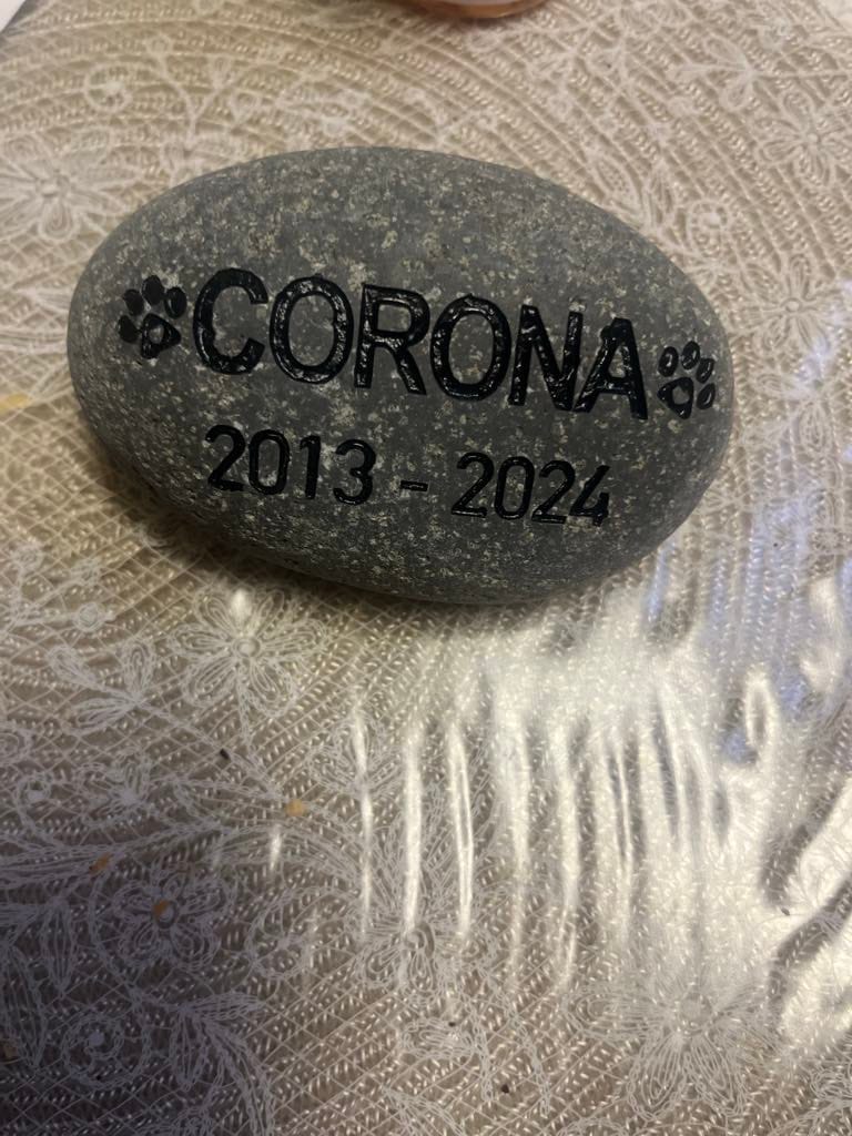 Customer photo review of Pet Grave Marker   Custom Engraved Pet Memorial Stone Paw Prints