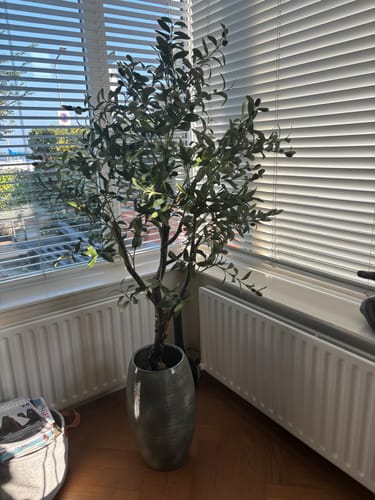 Customer photo review of Kunst Olijfboom 150cm