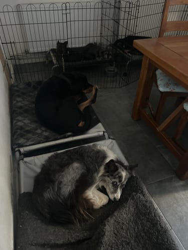 Customer photo review of Grey Canvas Cover