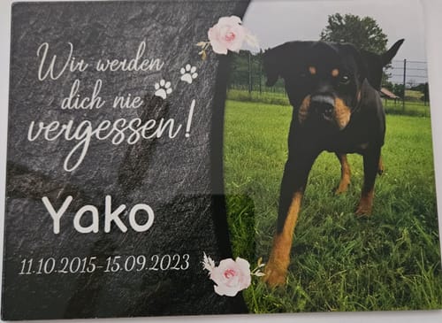 Customer photo review of Hunde-Türschild mit Foto & Wunschtext (UV- UND WETTERFEST) - Angebot beim Kauf eines 2. Schildes
