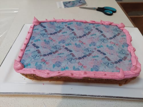 Customer photo review of A3 Rectangle Custom Edible Icing Image