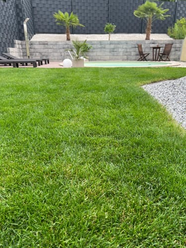 Customer photo review of Airflow - Rasen Belüftungsschuhe zum Aerifizieren