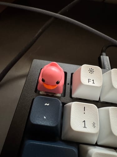 Customer photo review of Duckey Keycap