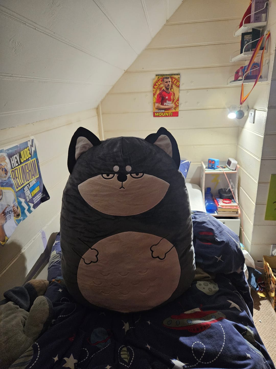 Customer photo review of Giant Squishy Stuffed Animals