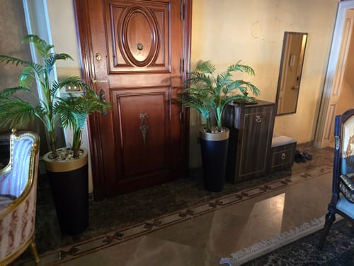 Customer photo review of إناء زرع مع شجرة أريكا - FL97