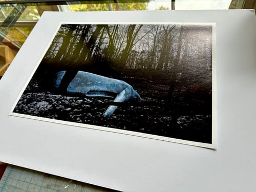 Customer photo review of 12x18 Giclee Fine Art Prints