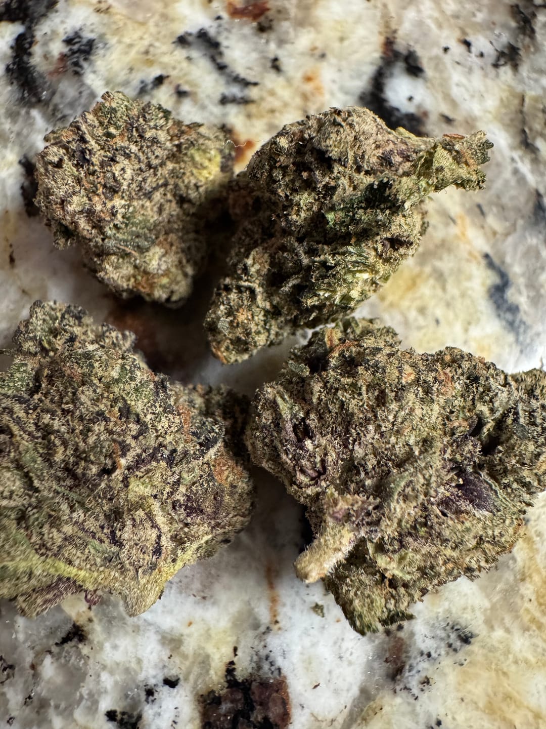 Customer photo review of Gelato 45 - THCa Flower