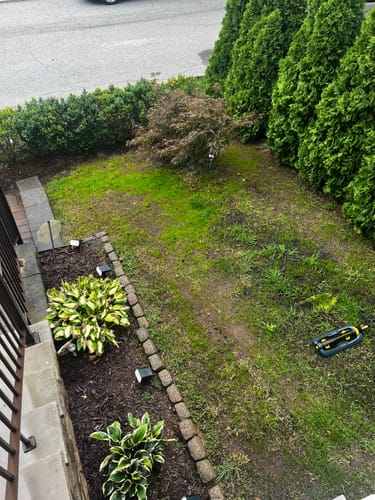 Customer photo review of GCI Turf Spreader Elite Grass Seed