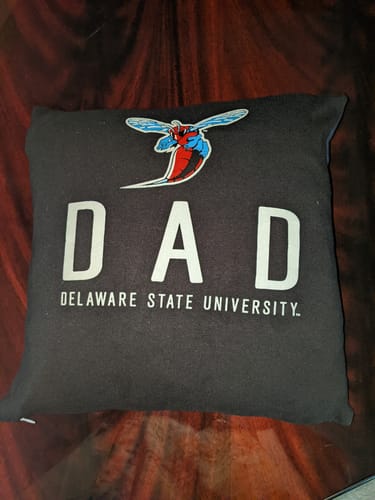 Customer photo review of T-shirt Pillows