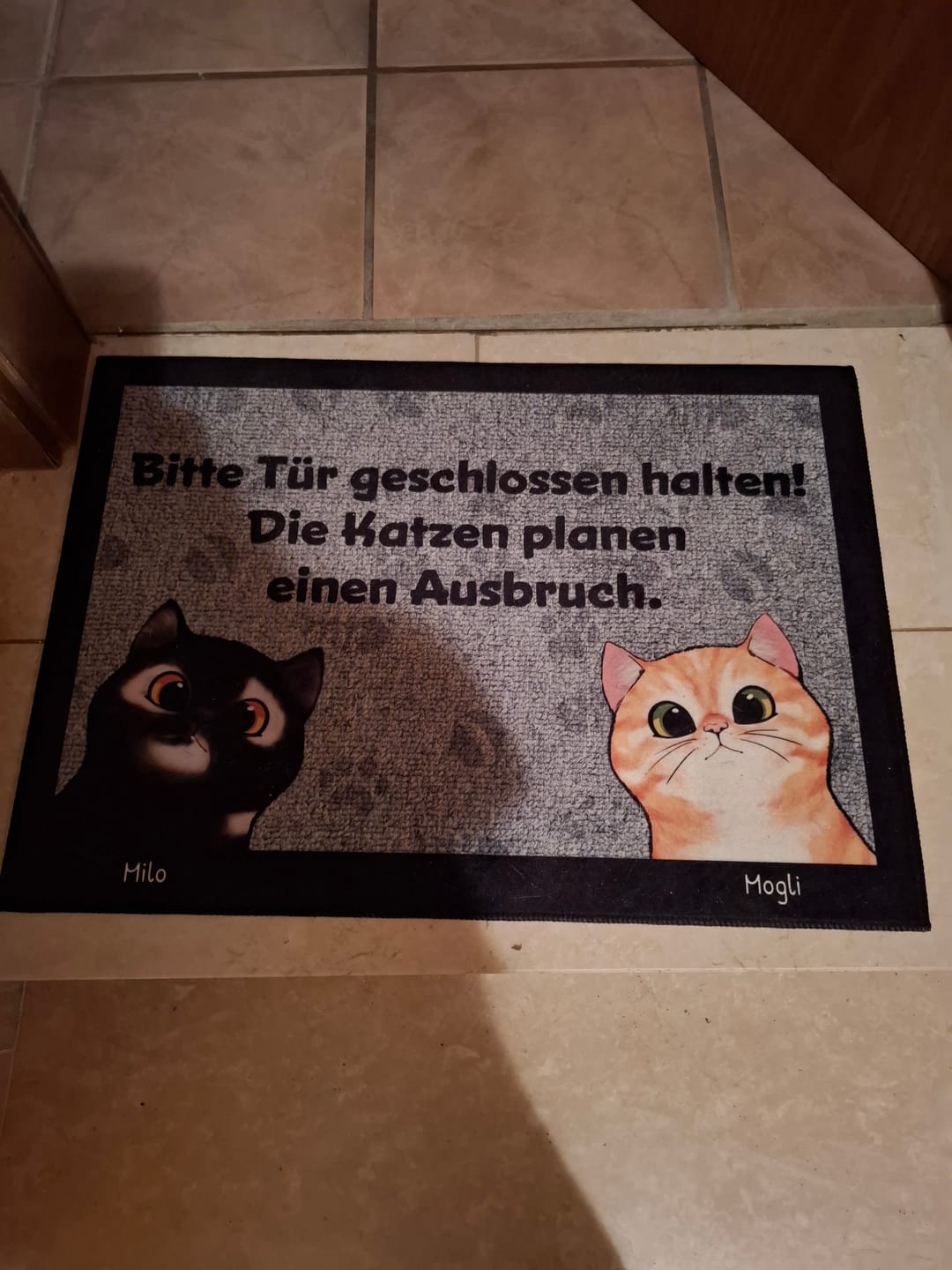 Customer photo review of Katzen planen einen Ausbruch - Individuelle Fußmatte